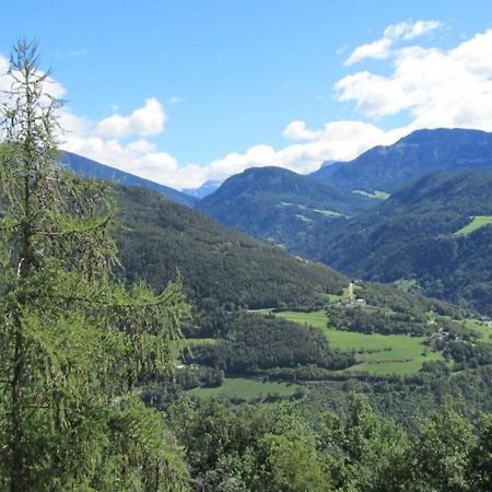 Apartamento Bio Kraeuterhof Oberpalwitter Barbiano  Exterior foto